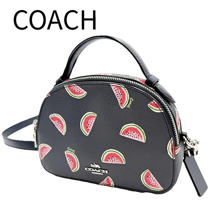 d*4様 coach スイカ ケース ミニバック COACH コーチ スイカ柄 ショルダーバッグ 2WAY ミニバッグ 斜めがけ
