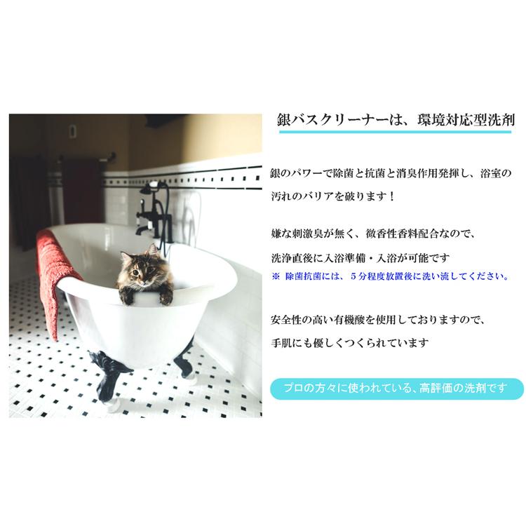 お風呂用洗剤 銀バスクリーナー アルカリ性 濃縮1000ml 皮脂汚れ湯垢掃除 除菌消臭洗浄 銀イオン Ag A1000 お掃除ソムリエ ディーシー ラボ 通販 Yahoo ショッピング