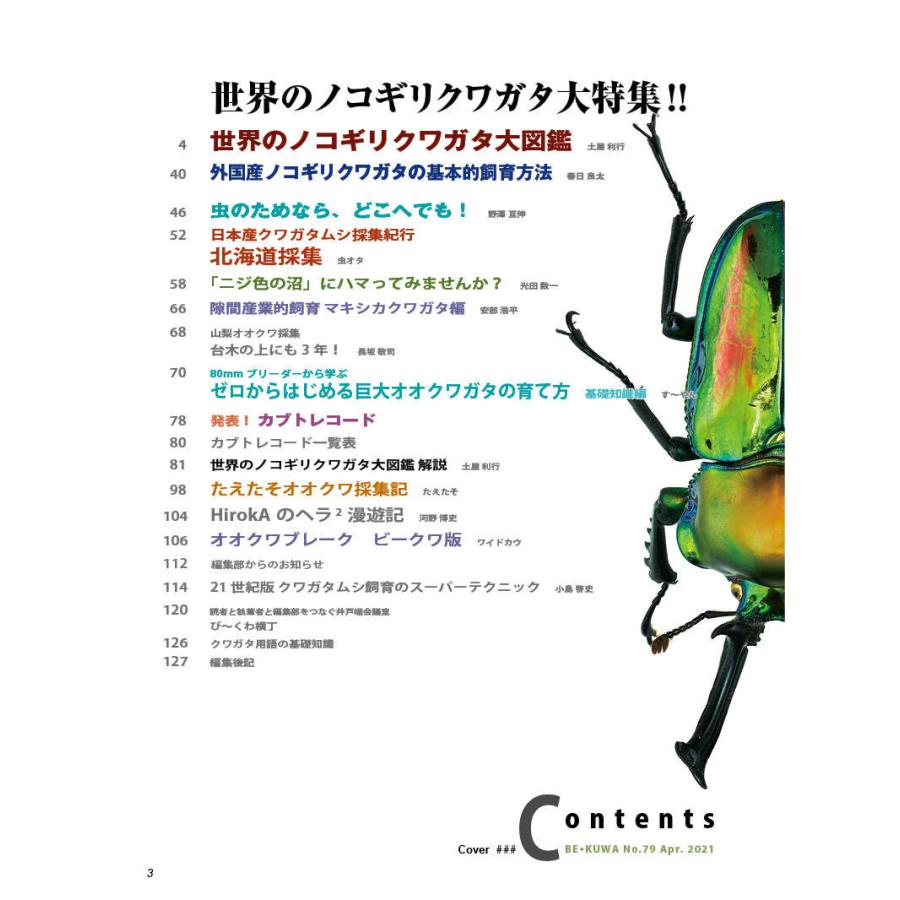 BE-KUWA79号 早い！ネコポス便送料無料 BEKUWA79 ポイント10倍