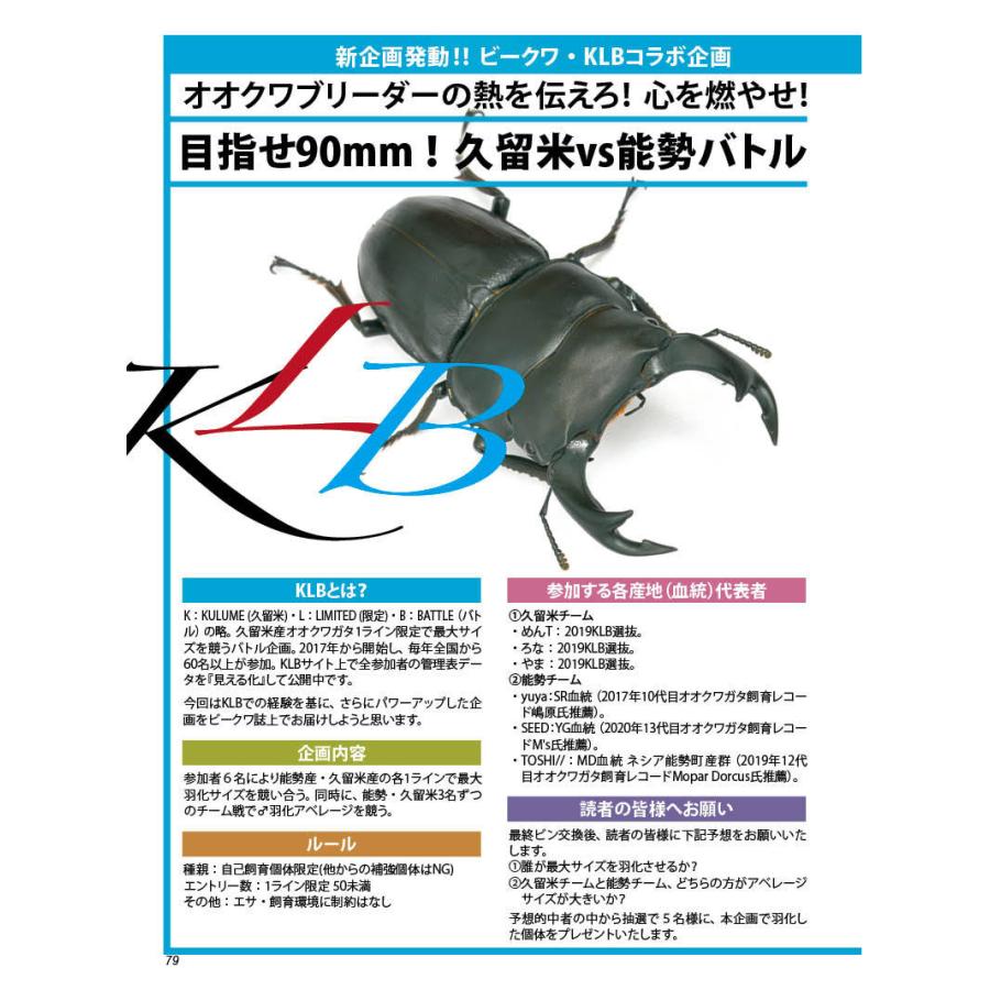 BE-KUWA81号 早い！ネコポス便送料無料 BEKUWA81 : どら猫屋 - 通販 