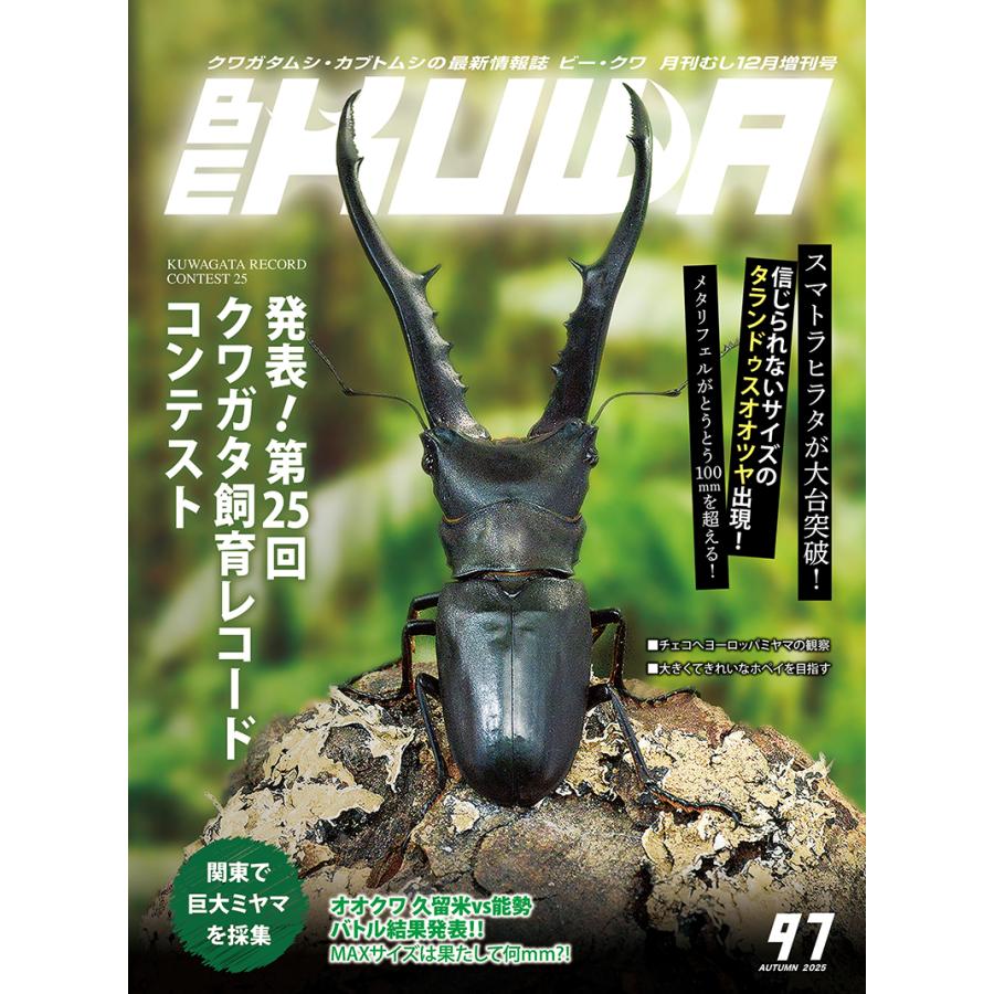 BE-KUWA97号 ネコポス便送料込み BEKUWA97 : どら猫屋 - 通販