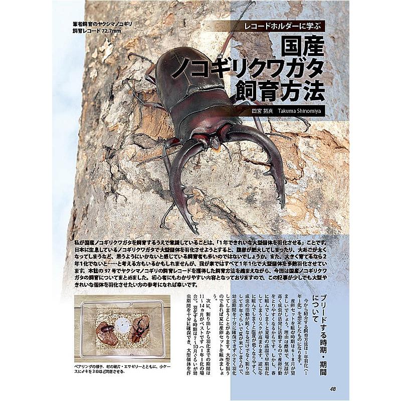 BE-KUWA99号 ネコポス便送料込み BEKUWA99 : どら猫屋 - 通販 - Yahoo
