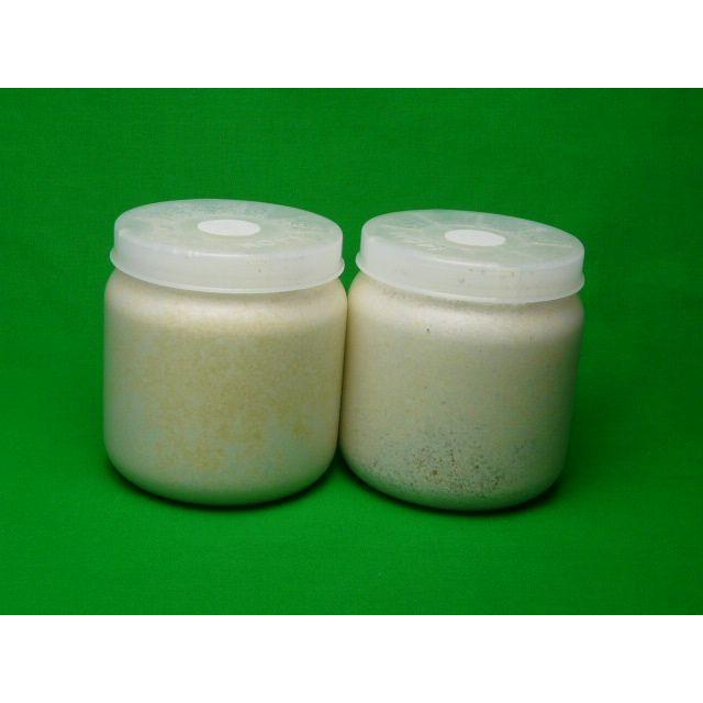 EP-1400×12 カワラタケ菌糸ビン 【公式通販】