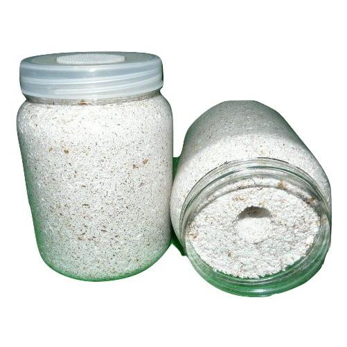 透明ネジ式 オオヒラタケ エノキ・クヌギ混合菌糸ボトル 菌糸ビン