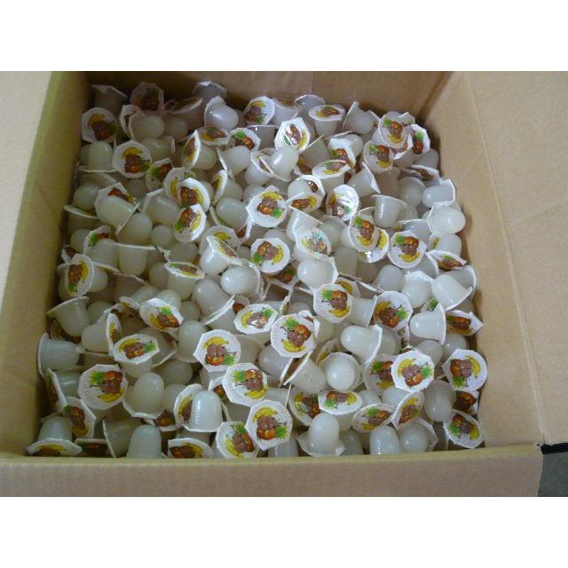 お買い得！ペロリアン 昆虫ゼリー（無着色）１６ｇ総重量25kg（約3箱分をまとめて1箱） VN16-1500