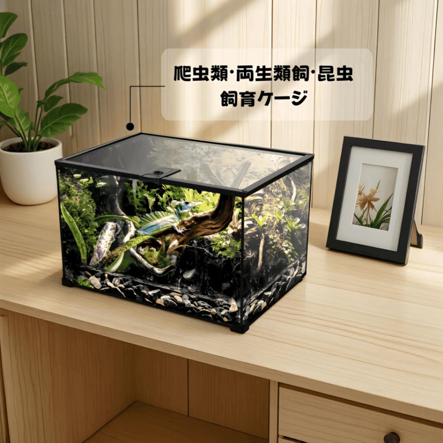 楽天市場】爬虫類 ケージ 50の通販 【新品】 爬虫類・両生類・昆虫用