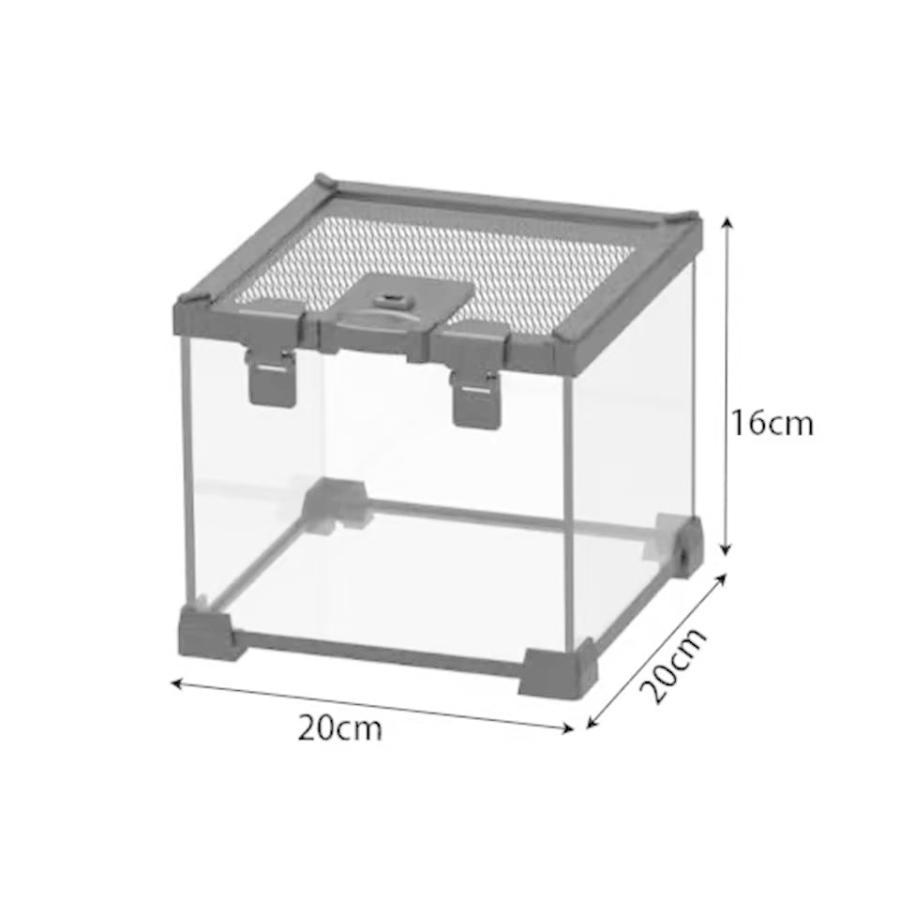 爬虫類、リクガメ　ケージ ガラス飼育ケージ202020、2020、爬虫類両生類飼育ケージ、オリジナル