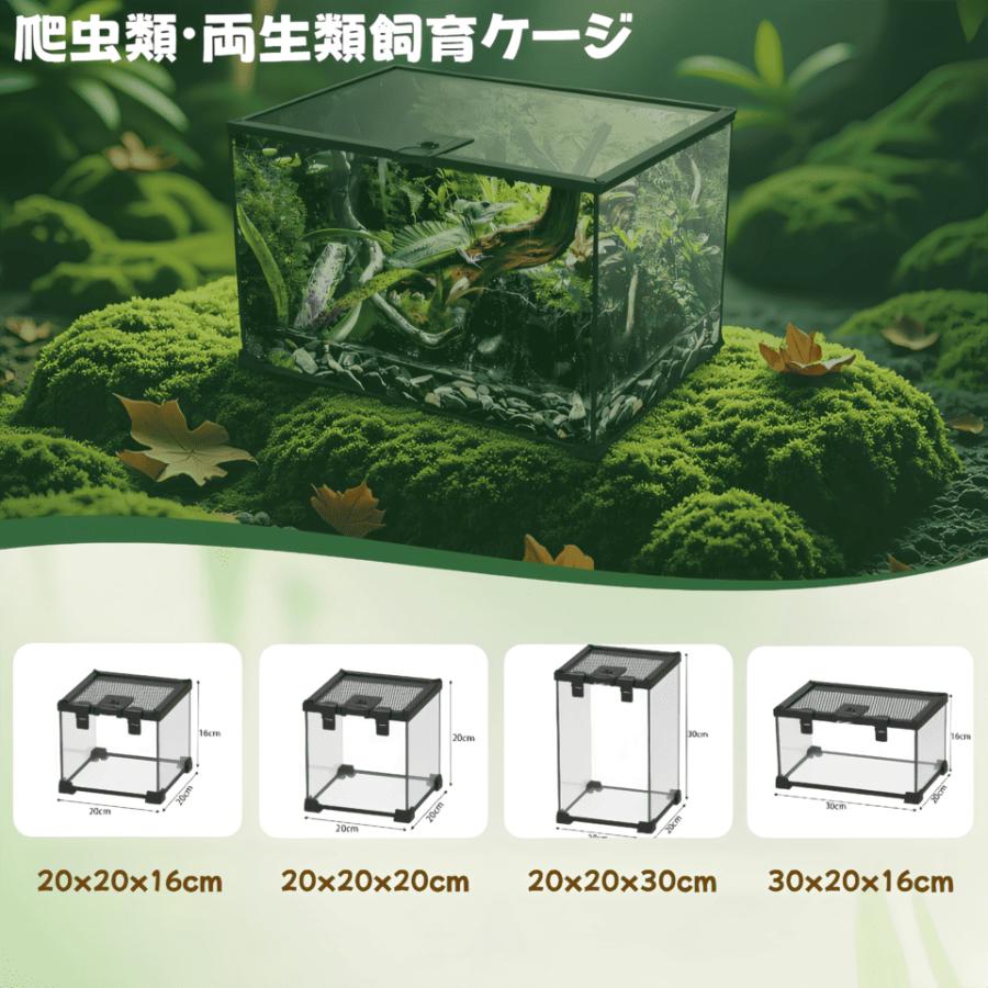 爬虫類用品卸 爬虫類飼育ガラスケージ両生類飼育ケージ603030(cm引取り限定 Amazon.co.jp: 爬虫類 ケージ 飼育ケージ 両生類 トカゲ ケージ 爬虫類