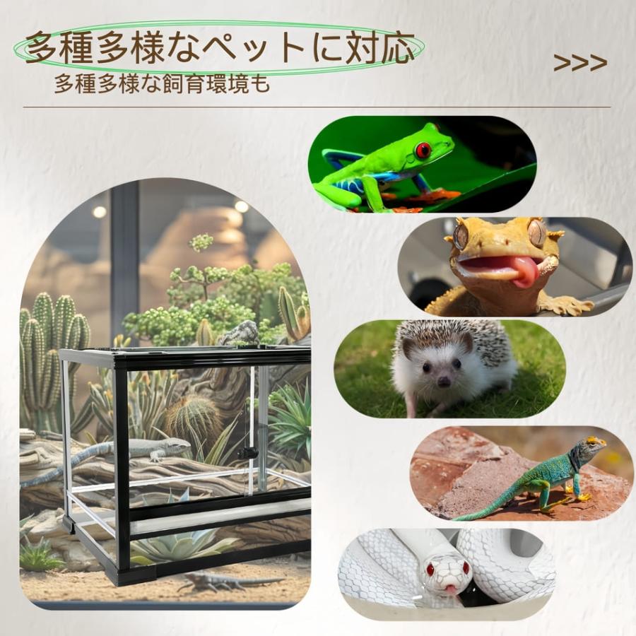 ガラス飼育ケージ、爬虫類両生類飼育ケージ603030、6030、オリジナル