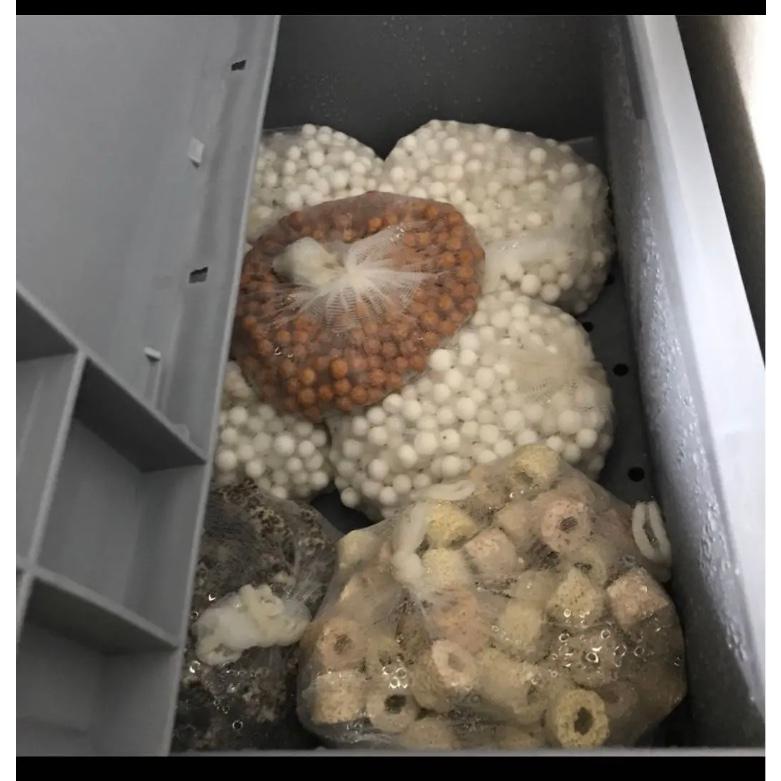 10Lろ材+吸水ホース、試しろ材付き万能濾過装置濾過外部式濾過層即時発送送料込み ろ過槽、濾過装置、フィルター外部式（小） : DMB・PET - 通販 - Yahoo