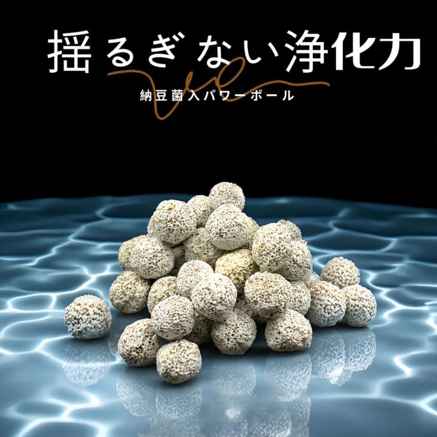 濾過材ボールろ材 納豆菌入り多孔質パワーボール1Lバクテリア繁殖 多孔