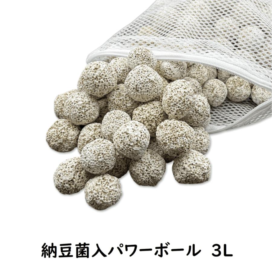 濾過材 ろ材 納豆菌入り多孔質パワーボール3Lろ材バクテリア繁殖 多孔