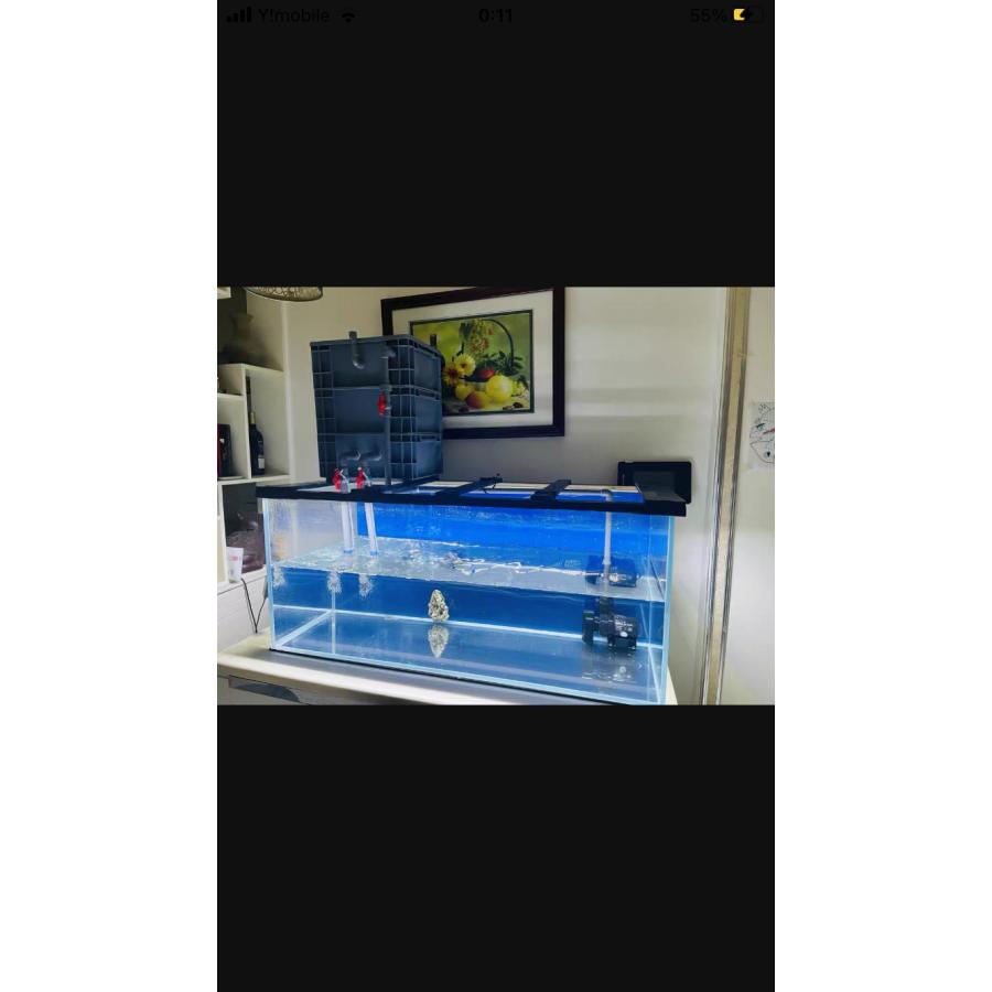 ポンプ1段階ろ材満タン付き三段式万能濾過装置池大型水槽濾過層 フィルター送料込み 濾過器 ろ過 沈殿層 蓋あり 濾過装置 濾過外部式濾過層 ウィスト