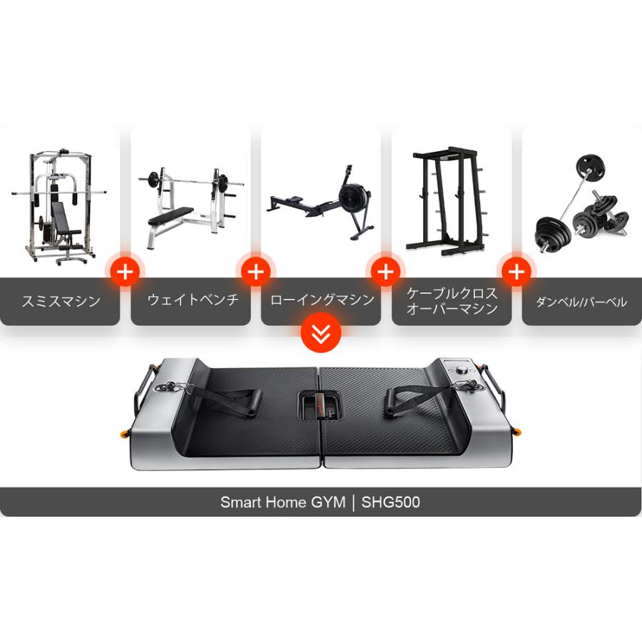 FIGHTING ROAD スマートホームジム Smart Home Gym SHG500 : DCM 