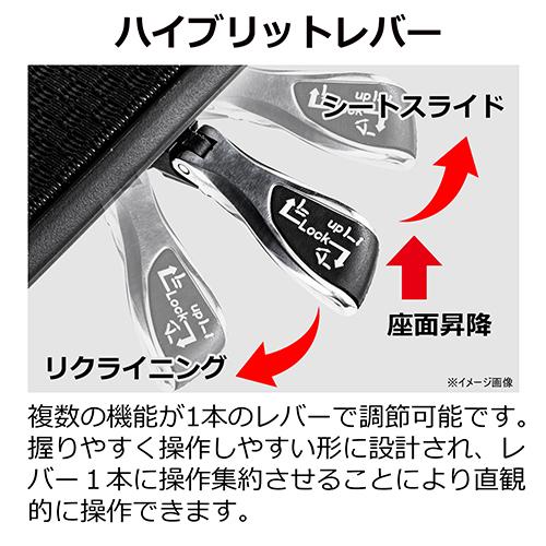 Ergohuman エルゴヒューマンエンジョイ2-ロータイプ-グレーフレーム-レッドメッシュ/389609 【梱包材】 レッドメッシュ/グレーフレーム