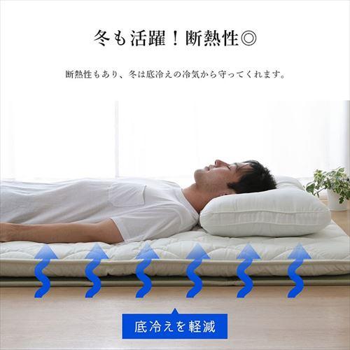 IKEHIKO コンパクト 折畳み式 い草畳マットレス