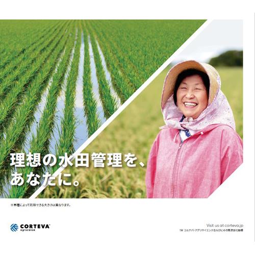 ケース販売】CORTEVA コルテバ 水稲用除草剤 ウィードコア1キロ粒剤
