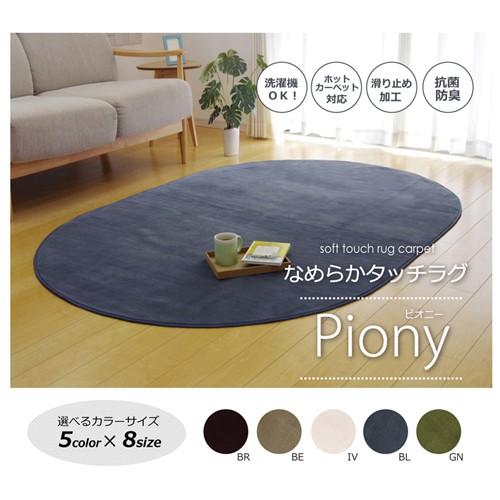 イケヒコ・コーポレーション ラグ カーペット 洗える 抗菌 防臭