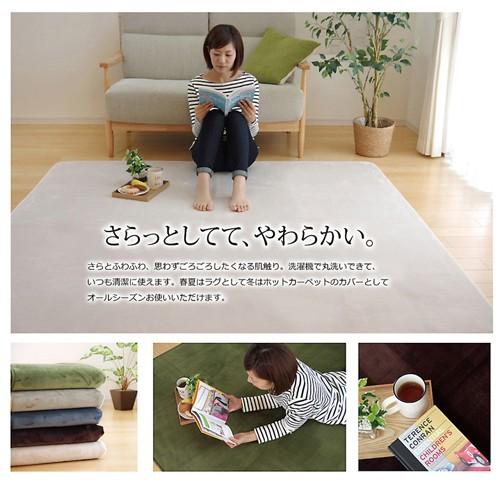 イケヒコ・コーポレーション ラグ カーペット 洗える 抗菌 防臭