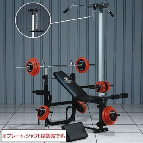 ファイティングロードのキングスセットとシャフト、プレートセット