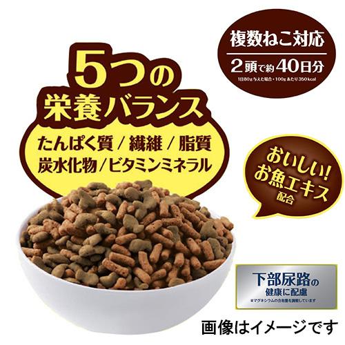 DCM ねこのごはん 国産お魚ミックス 7kg : DCMオンライン - 通販 DCM ねこのごはん 国産お魚ミックス 7kg : DCMオンライン - 通販