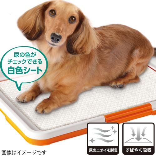 最安値在庫 Dcm Dcmオンライン 通販 Paypayモール ペットシーツ ワイド 150枚 3