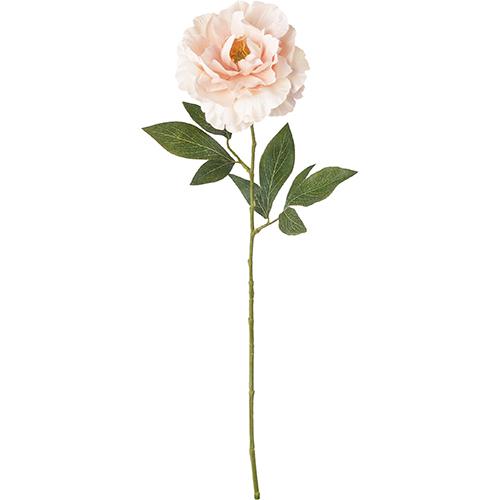 POPPY LIMEXピオニースプレー/FA　-7352　L/P ライトピンク