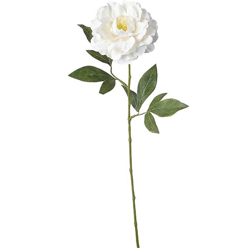 POPPY LIMEXピオニースプレー/FA　-7352　W ホワイト