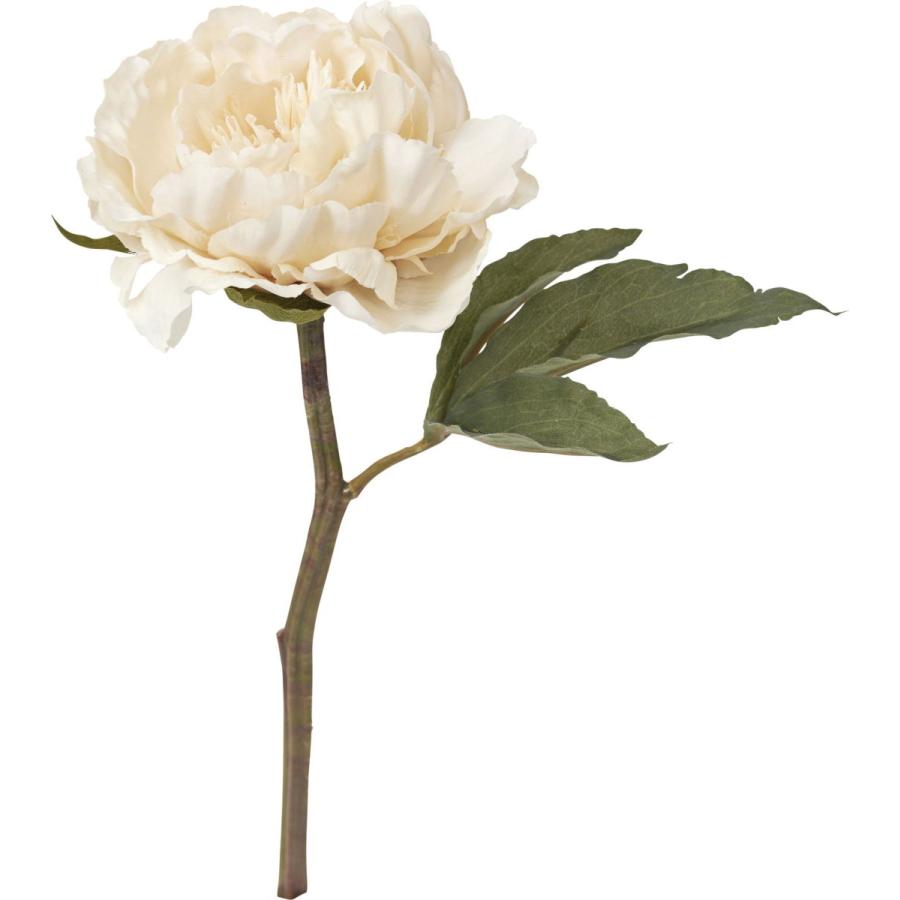 POPPY アートピオニーショート/FA　-7033　BE ロング