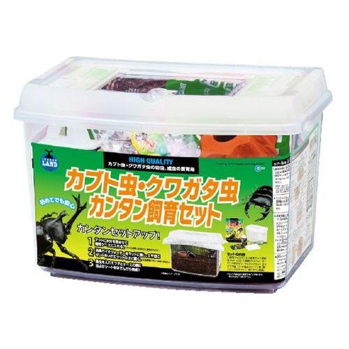カブトとクワガタ 植村比呂志(ひろし) on X: 