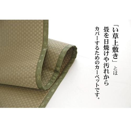 IKEHIKO い草 ござ 上敷き 国産 不知火/団地間3畳 団地間3畳