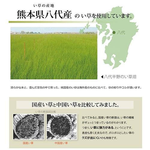 IKEHIKO い草 ござ 上敷き 国産 不知火/団地間3畳 団地間3畳｜dcmonline｜06