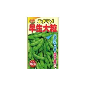 アタリヤ農園 金の種 早生大粒枝豆 Dcmオンライン 通販 Paypayモール