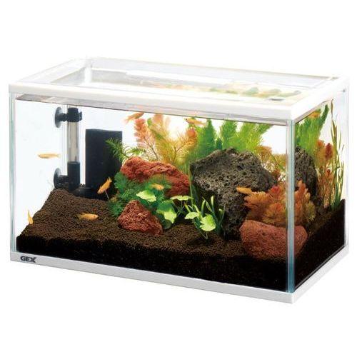 GEX メダカ元気 メダカのための水槽セット 400 : DCM GEX メダカ元気 メダカのための水槽セット 400 : DCM