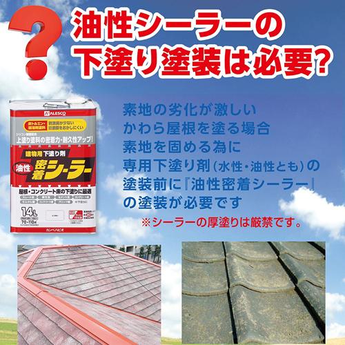 カンペハピオ 水性シリコン遮熱屋根用/１４Ｋ カーボングレー