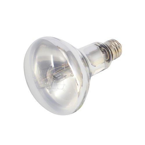 REPTI ZOO スーパーサン UV 160W＋100w 楽天市場】【REPTI ZOO】三晃商会 スーパーサンUV 100W（爬虫類