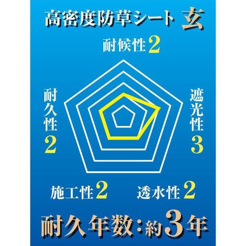 セフティ?3 高密度防草シート 玄/2MX50M 幅2m×高さ50m : DCM セフティ?3 高密度防草シート 玄/2MX50M 幅2m×高さ50m : DCM