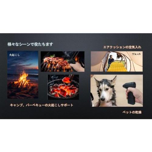 PLATINUM EDGE スーパーパワーターボファン/WC-SPX3 : DCM PLATINUM EDGE スーパーパワーターボファン/WC-SPX3 : DCM