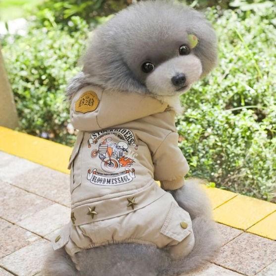 犬の服 小型犬用 冬服 かっこいい おしゃれなジャンパー ジャケット 上着 寒がりのワンコ 体調管理に 温かい冬服 Dogclothing 2 D C Select 通販 Yahoo ショッピング