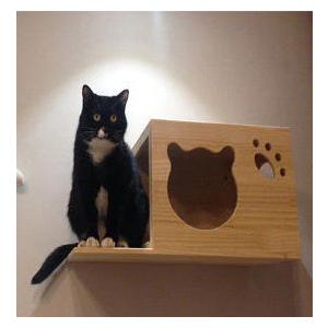 猫用 ウォールテーブルとウォールハウスボックスと猫の橋セット St３ 猫の部屋を素敵にdiy 猫用家具 おもちゃ おすすめ Neko 56 D C Select 通販 Yahoo ショッピング