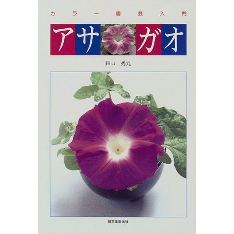 流行に アサガオ 種類 栽培 楽しみ方 カラー園芸入門 今月限定 特別大特価 Turningheadskennel Com