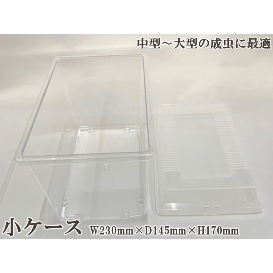 コバエ侵入防止ケース　小15個＋オマケ1個 Amazon | コバエの侵入抑制用 たのしい生き物 飼育容器 中