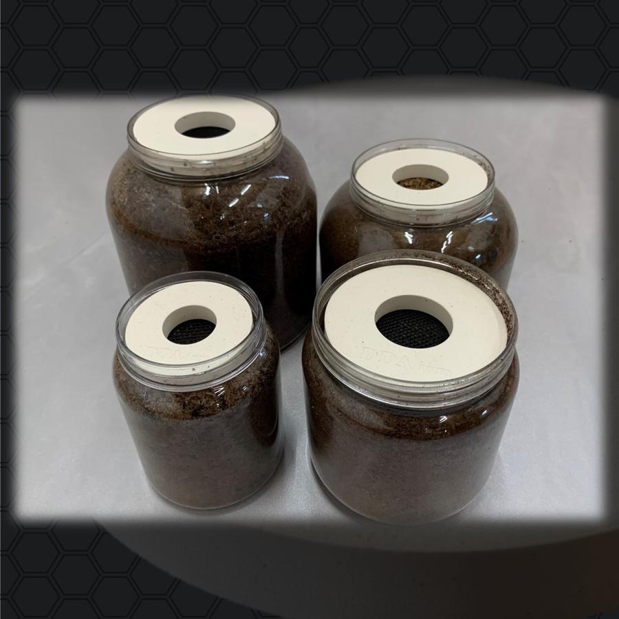 ギネス2連続更新記念セール／バクテリア増殖バイオDisc Lサイズ(1500