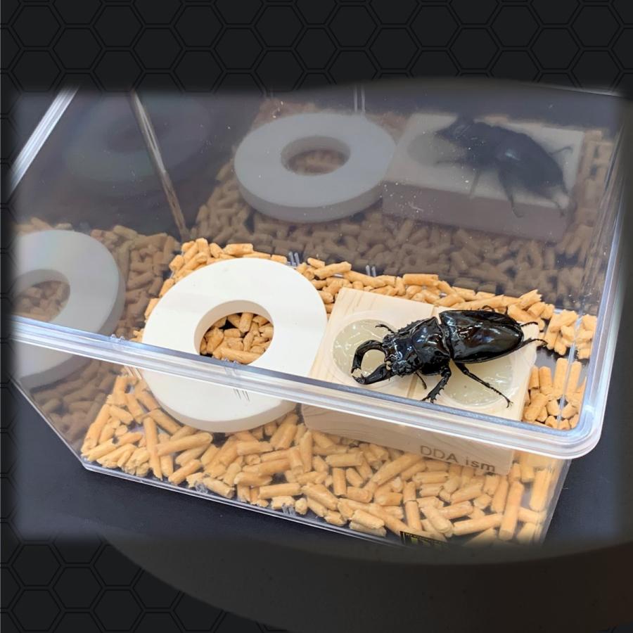 バクテリア 親株サイズ バクテリア増殖バイオDisc Lサイズ(1500/2300/3200ボトル用) dda