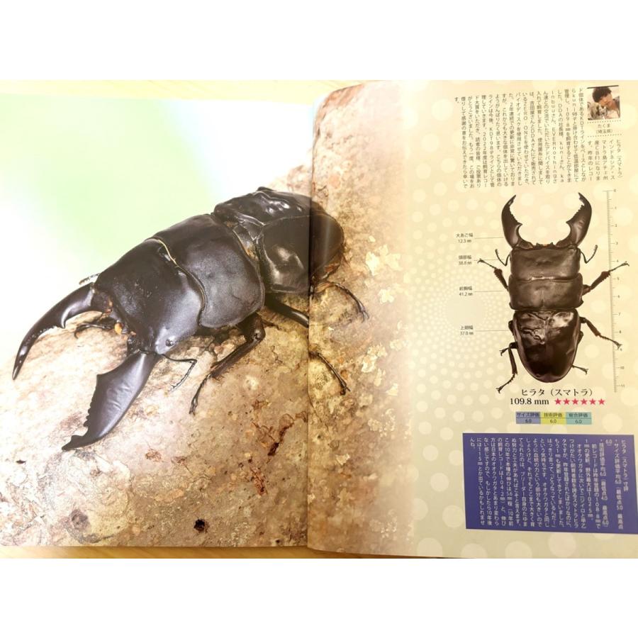 バクテリア 親株サイズ 楽天市場】幼虫の免疫率/食性の向上！【DDA】バクテリア増殖