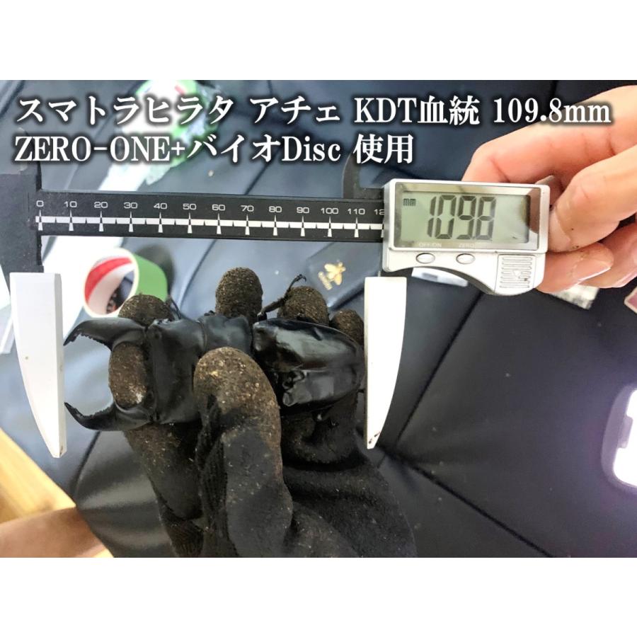 バクテリア 親株サイズ バクテリア増殖バイオDisc Mサイズ(800ボトル用) dda クワガタ