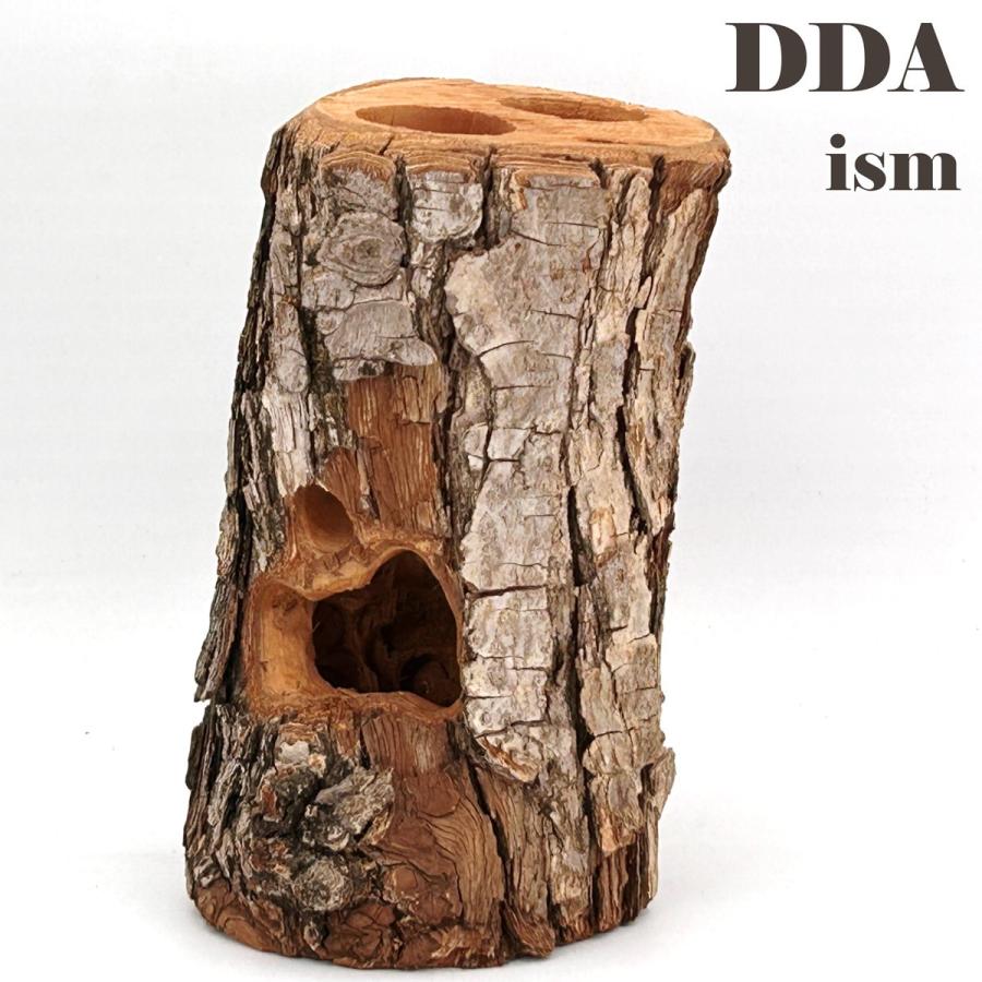 newクラフトウッド (L) 洞 カルス 2310061719 dda クワガタ カブトムシ