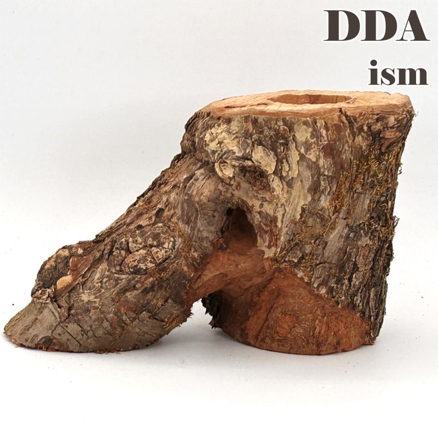 newクラフトウッド(M) 2310201351 dda クワガタ カブトムシ 止まり木