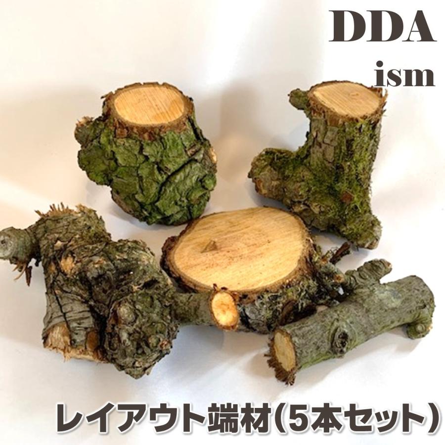 Mosaki　天然木 樹洞 レイアウト用品　クワリウム Mosaki様専用 天然木 樹洞 レイアウト用品 クワリウム - メルカリ
