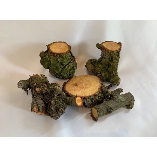 Mosaki様専用 天然木 樹洞 レイアウト用品 クワリウム